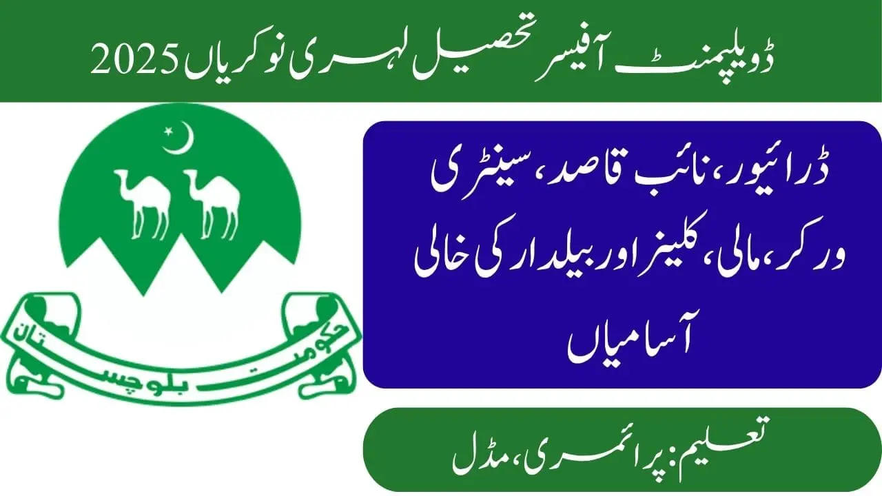 Development Officer Tehsil Lehri Jobs 2025