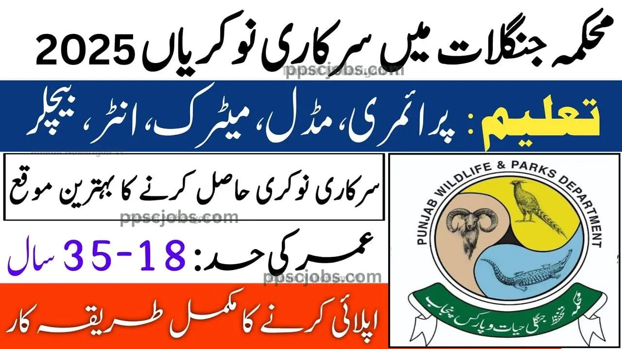 Forest & Wildlife Department KPK Jobs 2025