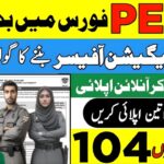 PERA Investigation Officer Jobs 2025