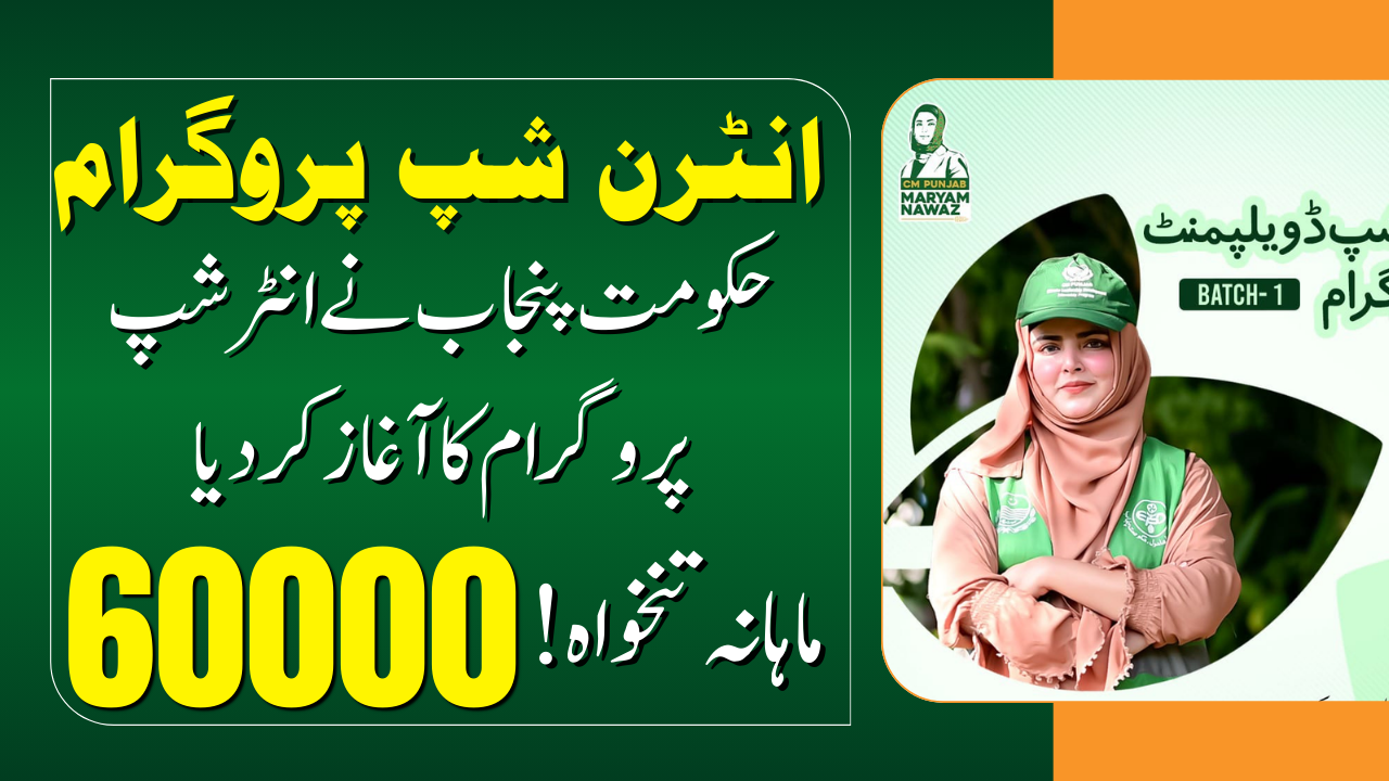 CM Punjab Climate Leadership Development Internship Program