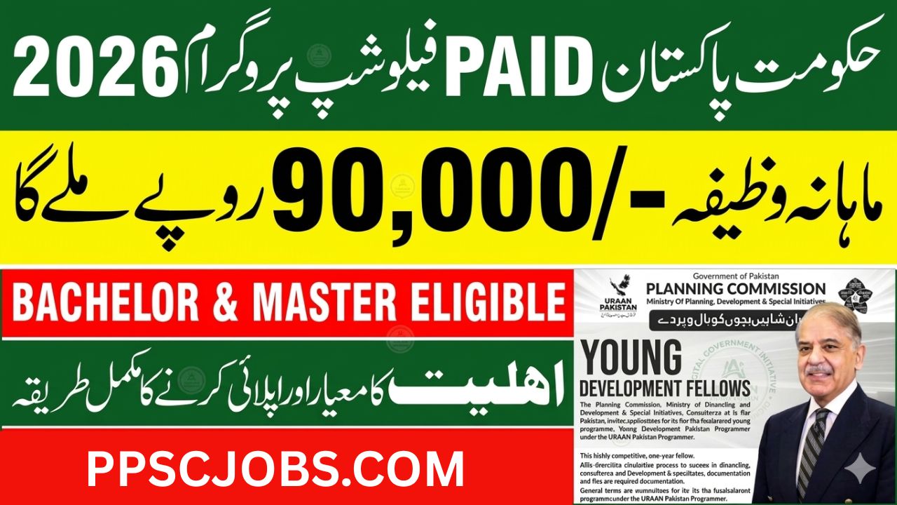 Young Development Fellows Program 2026